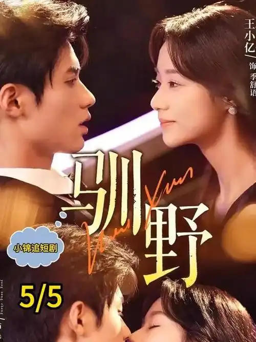 神马影院在线观看电视剧 推荐
